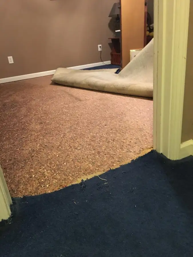 Carpet pad removal revealing water damage during Water Mitigation Services in Hebron